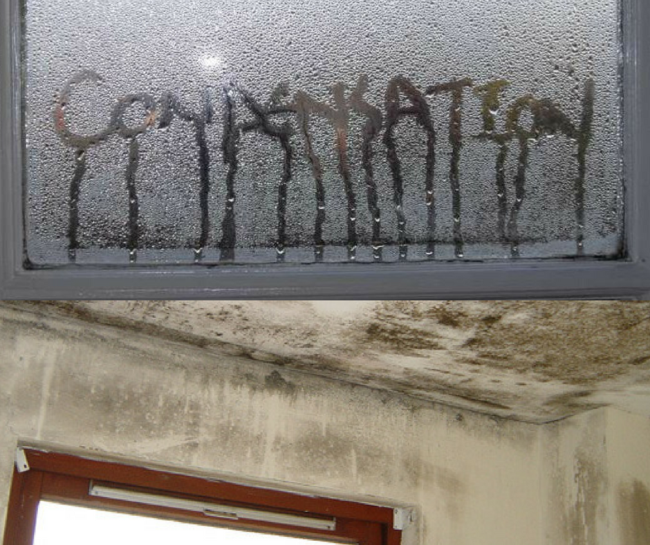 Condensation damp